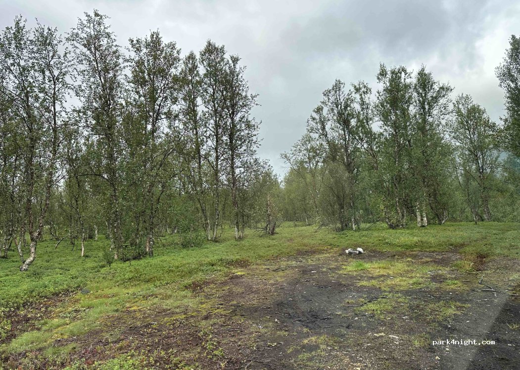 (9027) Tromsø - Breivikeidvegen — foto 2
