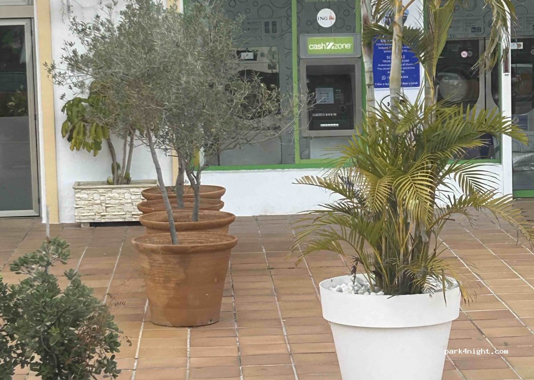 (11360) San Roque - Unnamed Road — foto 5