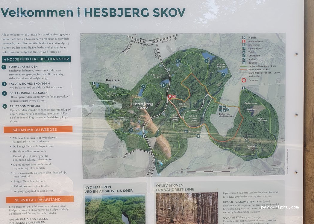 (5491) Blommenslyst - Hesbjerg Skovvej — foto 2