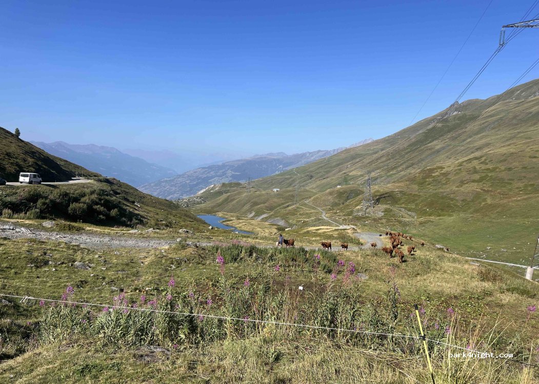 (73700) Séez - Route du Col du Petit Saint-Bernard — foto