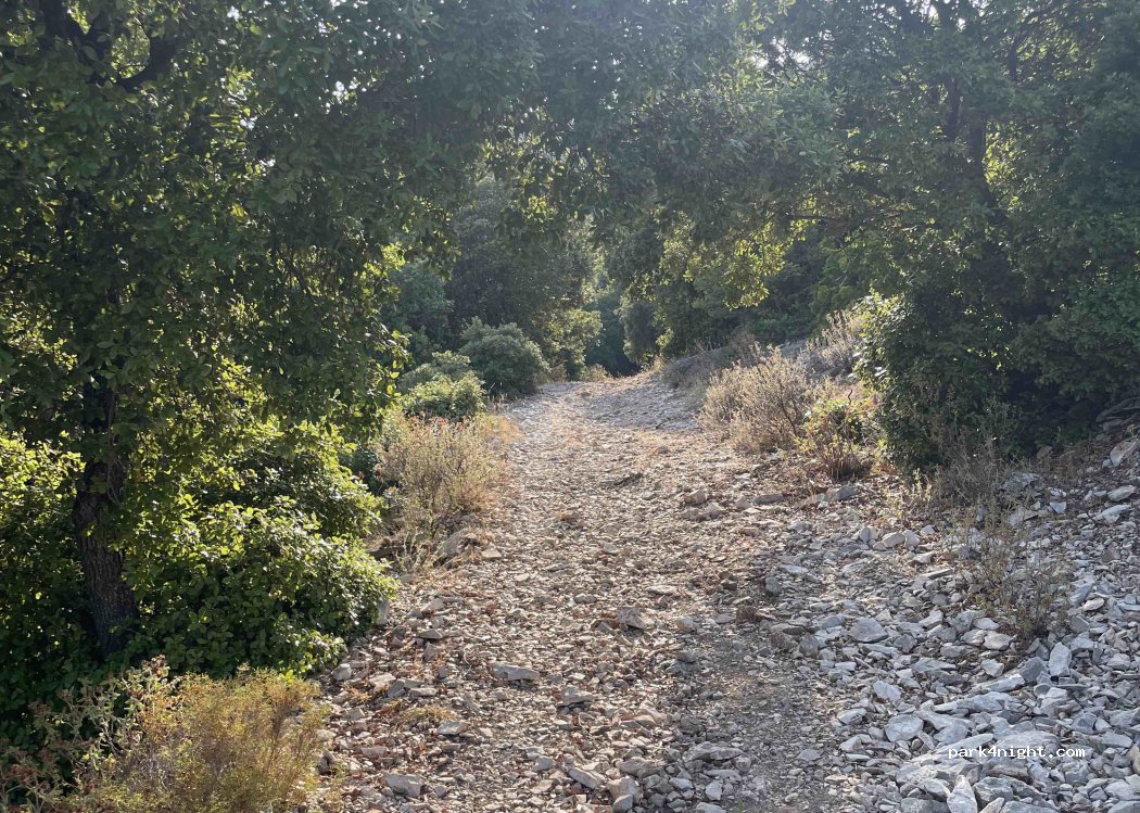 (08022) Durgali/Dorgali - SP26 — foto