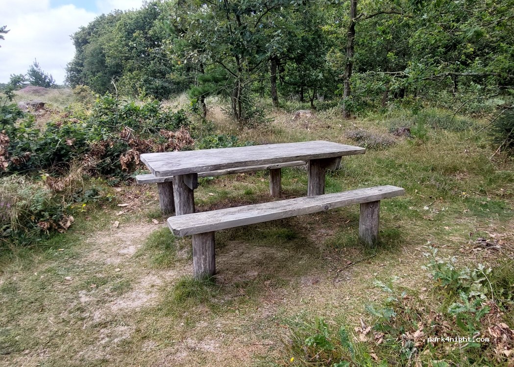 (6853) Vejers Strand - Børsmosevej — foto 2