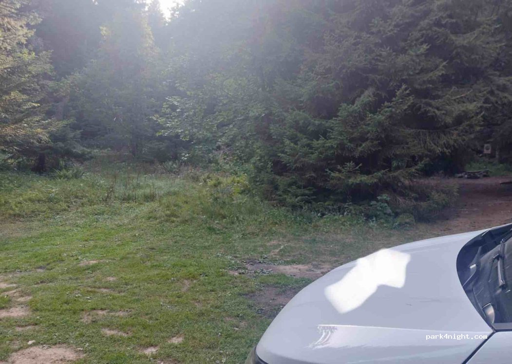 (74320) Leschaux - Route du Semnoz — foto