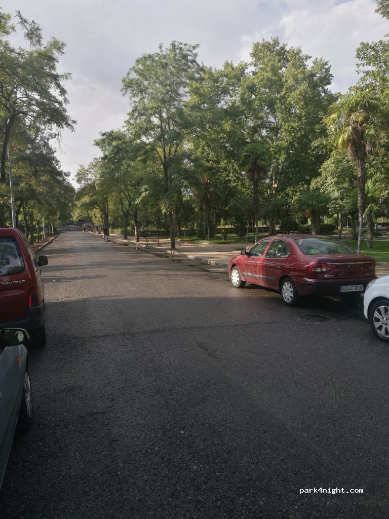 (28806) Alcalá de Henares - Paseo de los Pinos — foto