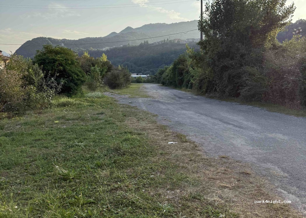 (24029) Vertova - Via Canale — foto