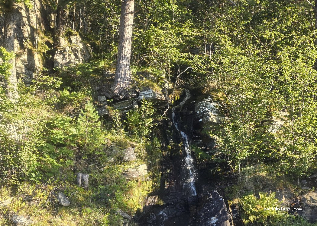 (5614) Ålvik - Kjepsovegen — foto 4