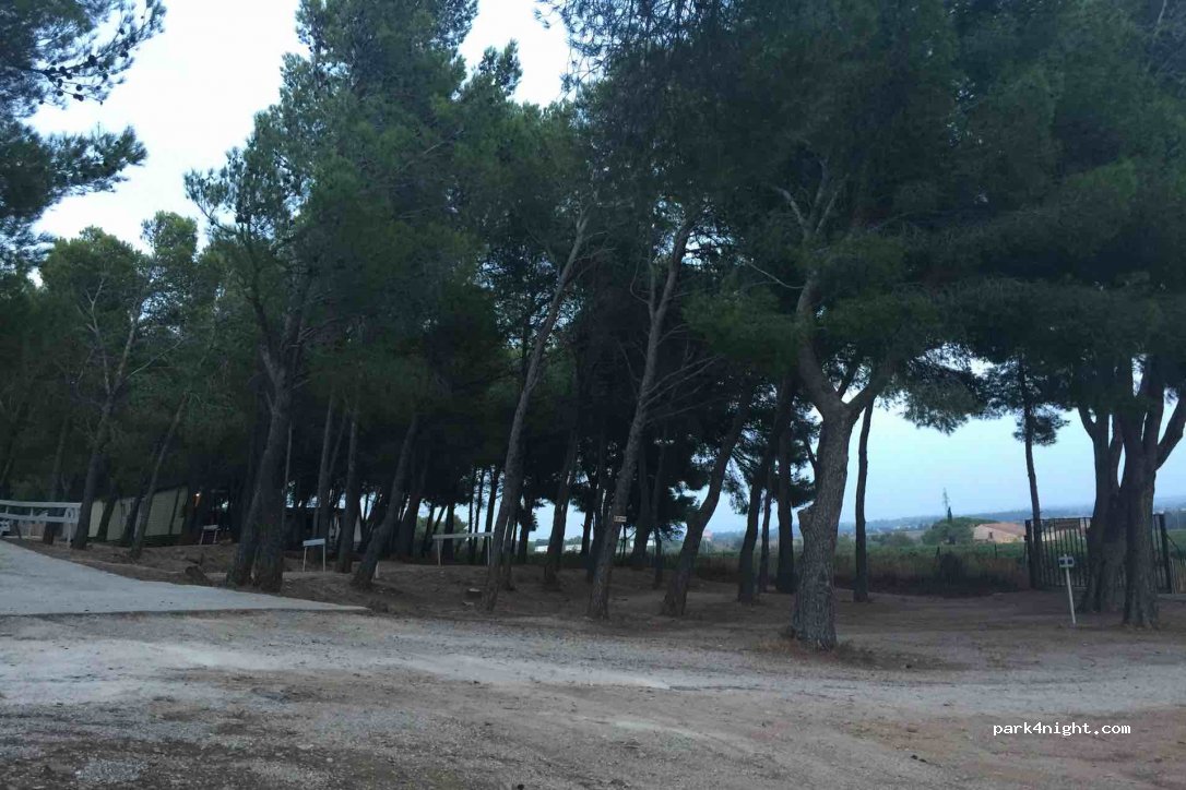 Le Bois de Pins — foto