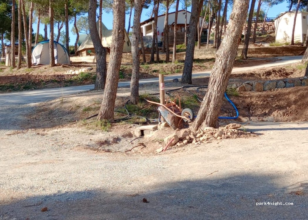 Le Bois de Pins — foto 4