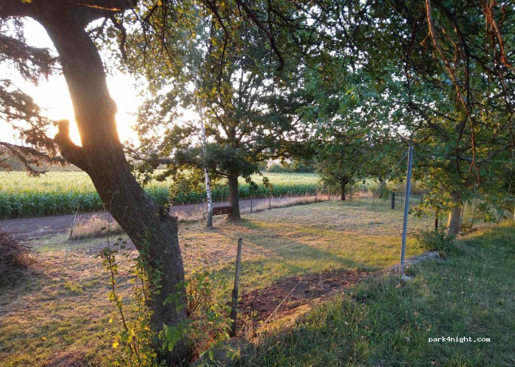 Fernblick zum Lilienstein — foto 2