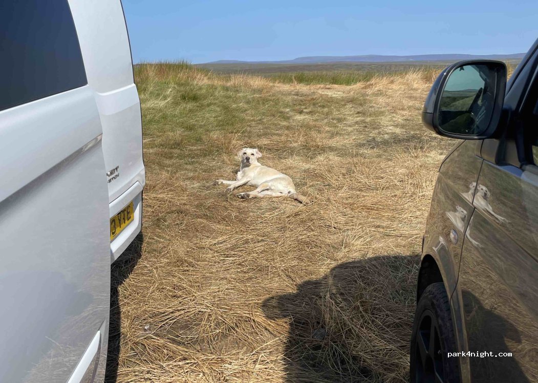 (DL11 6ED) Richmondshire - Long Causeway — foto