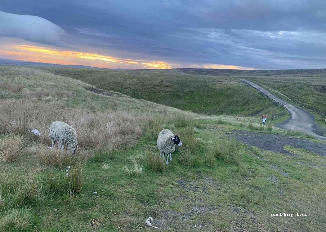 (DL11 6ED) Richmondshire - Long Causeway — foto 5