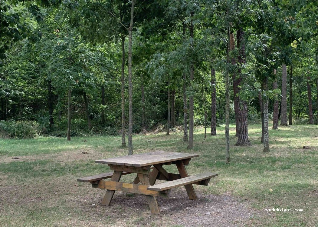 (2620) Gemeinde Natschbach-Loipersbach - Seebensteiner Straße — foto