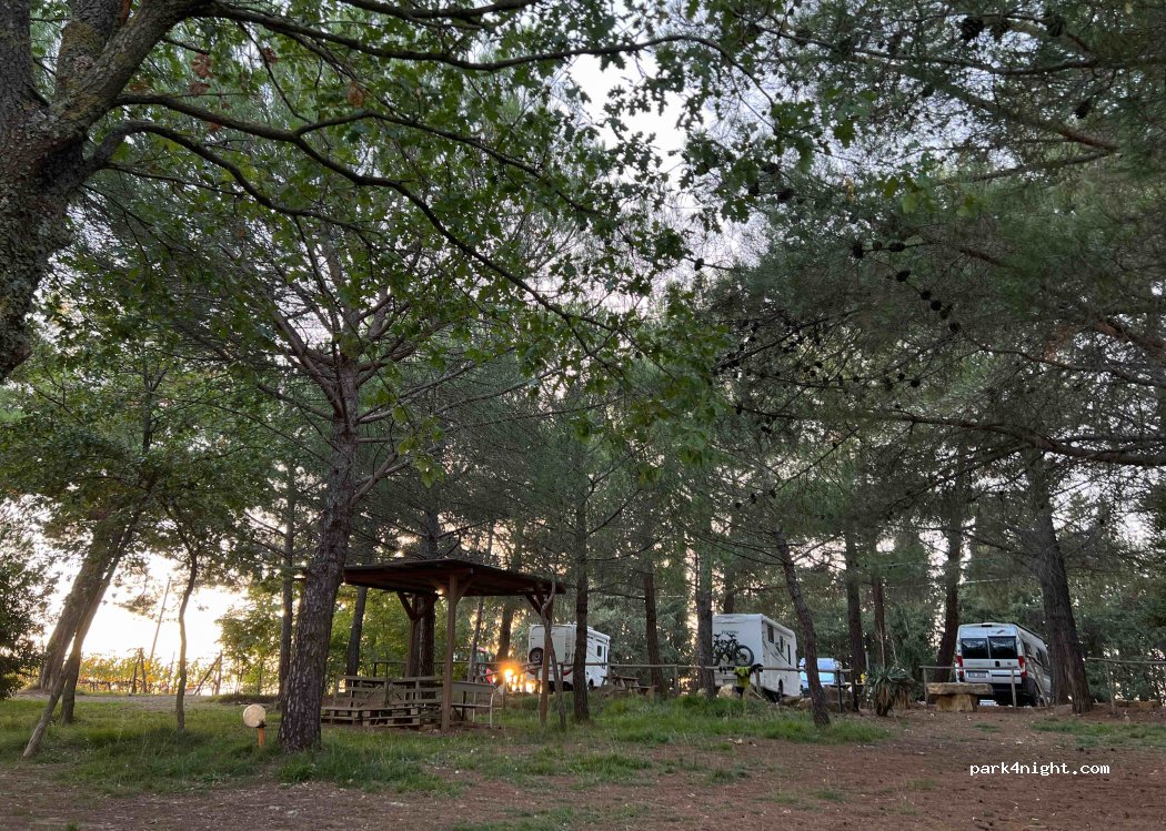 Area sosta Camper Il Cocco — foto 3