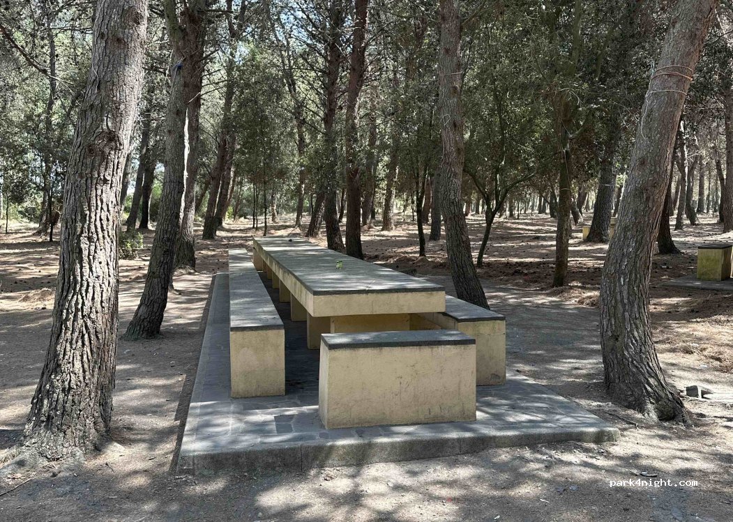 (09097) Arcidanu/San Nicolò d'Arcidano - — foto 4