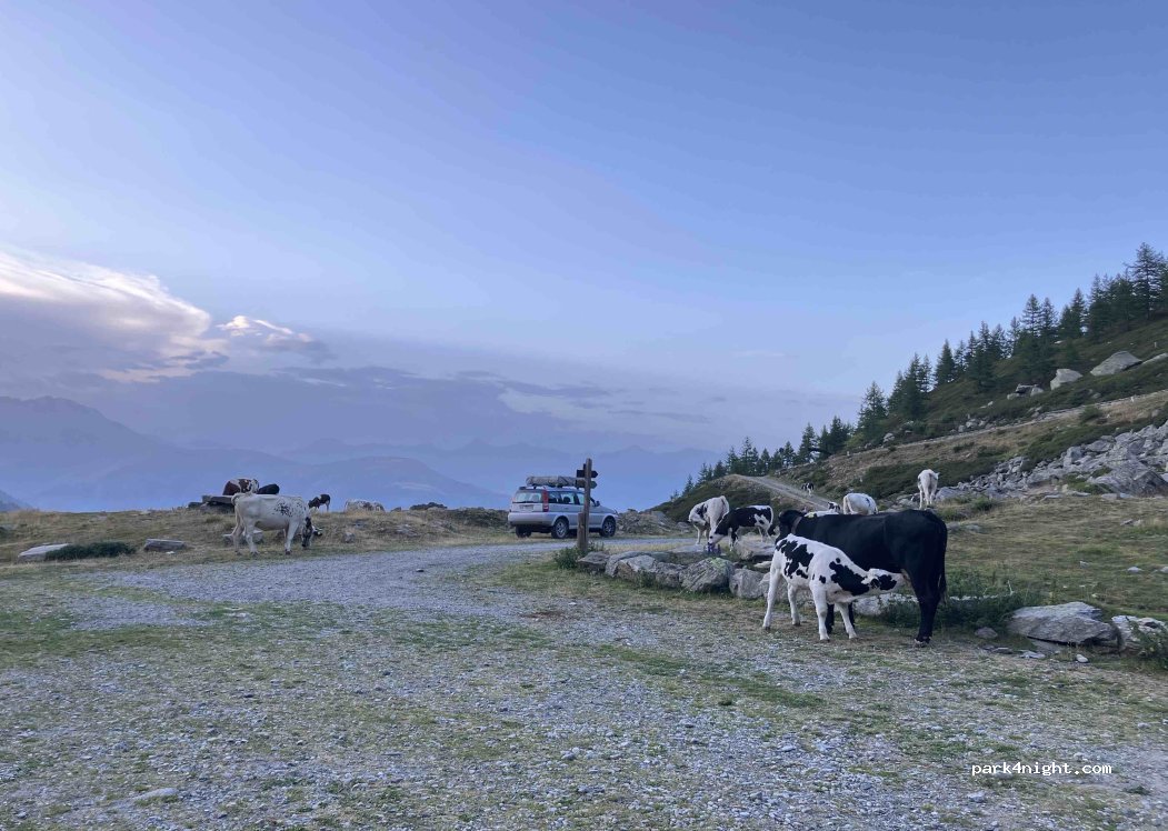 (10060) Perrero - Alpe Cialancia — foto