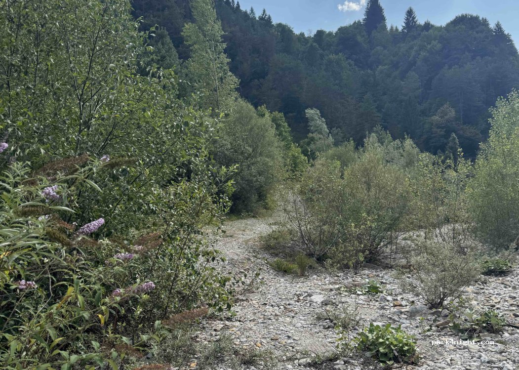 (33022) Arta Terme - Strada Provinciale Paularo — foto