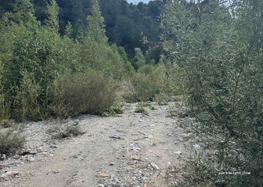 (33022) Arta Terme - Strada Provinciale Paularo — foto 2