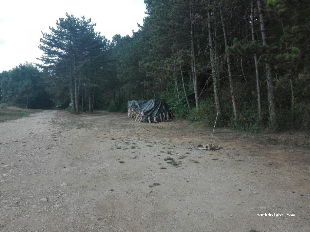 (21220) Gevrey-Chambertin - Plantigone où Issart — foto