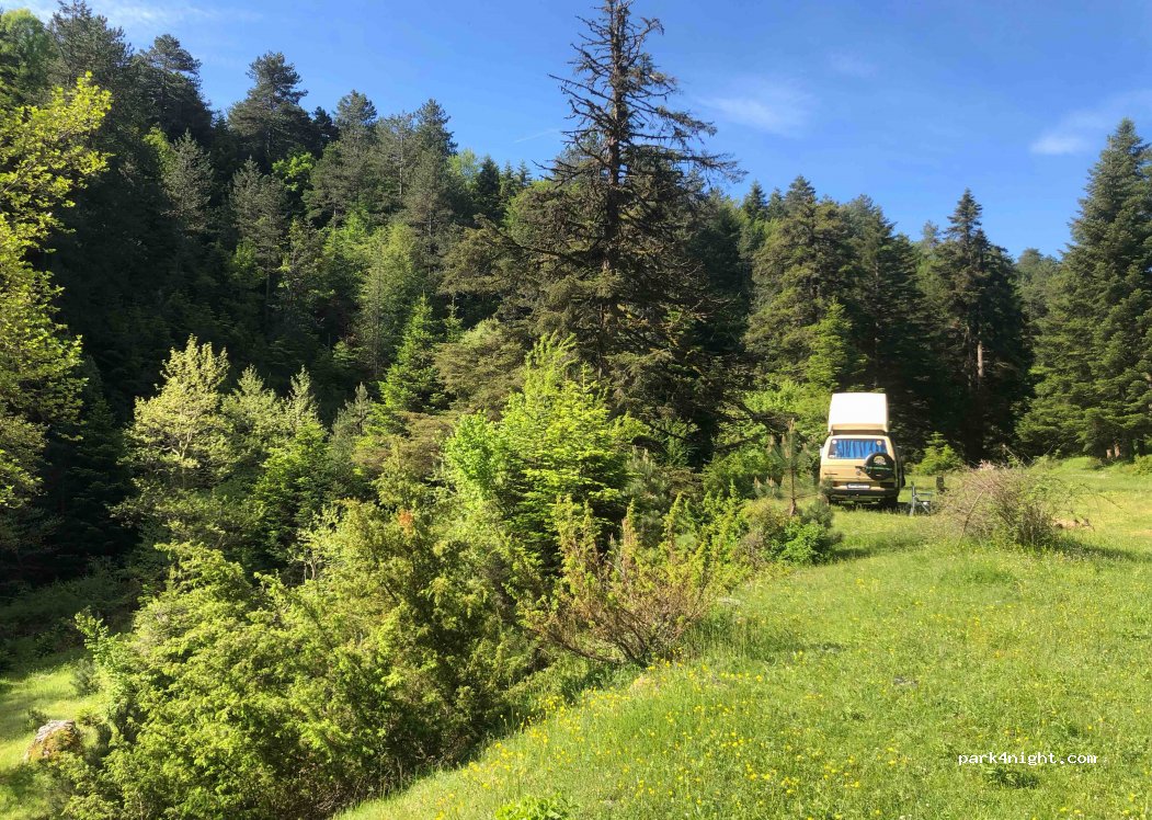 (402 00) Elassona Municipality - Λεπτοκαρυάς - Ελασσόνας — foto 2