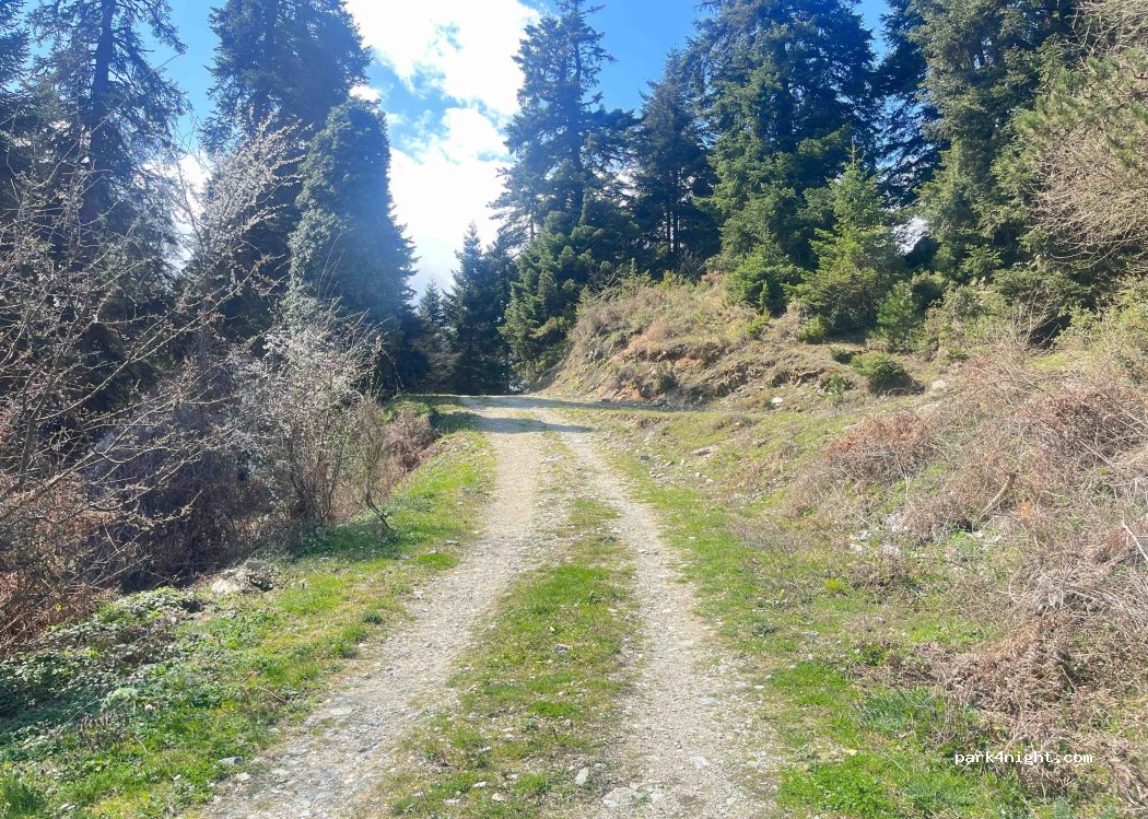 (402 00) Elassona Municipality - Λεπτοκαρυάς - Ελασσόνας — foto 3
