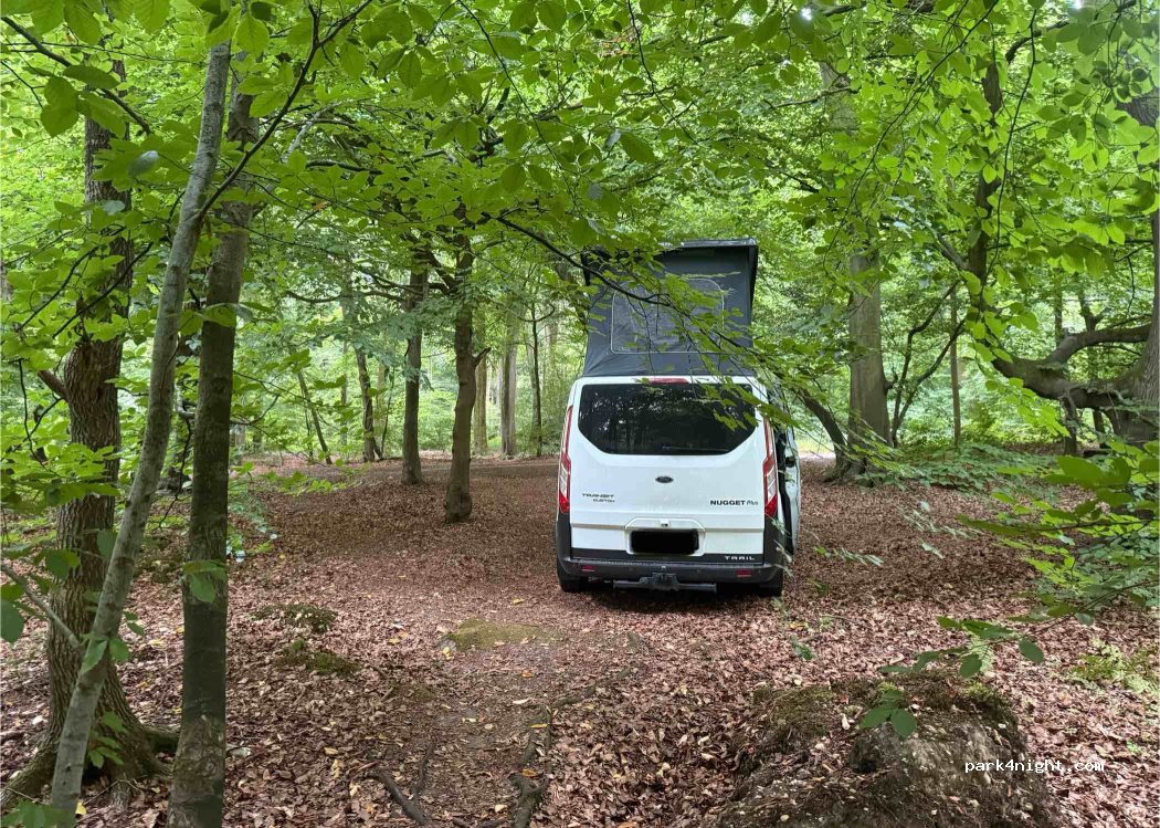 (RG9 4HG) South Oxfordshire - Woodlands Road — foto