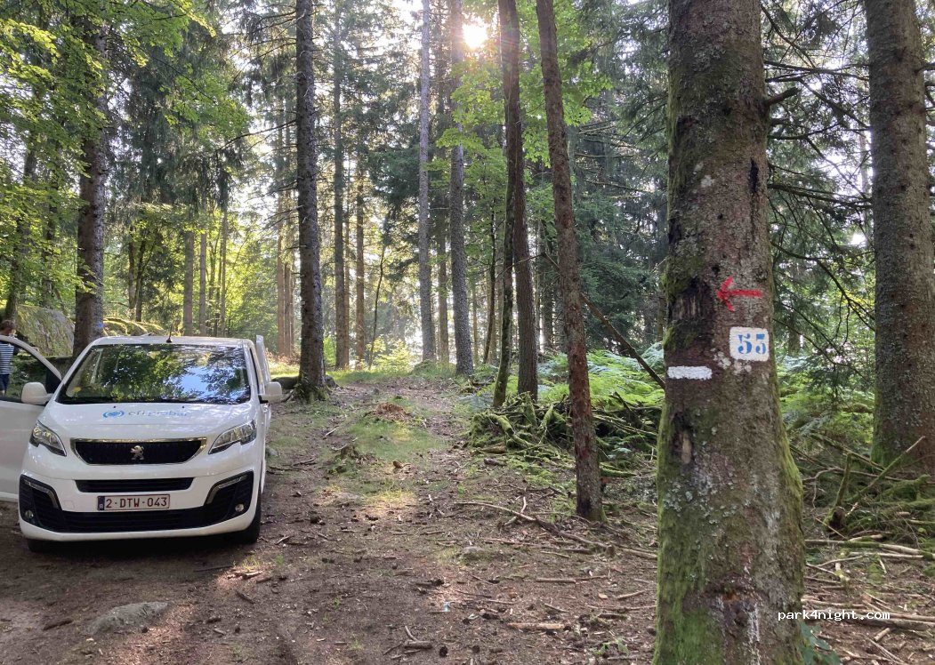 (88290) Saulxures-sur-Moselotte - Chemin du Haut du Roc — foto