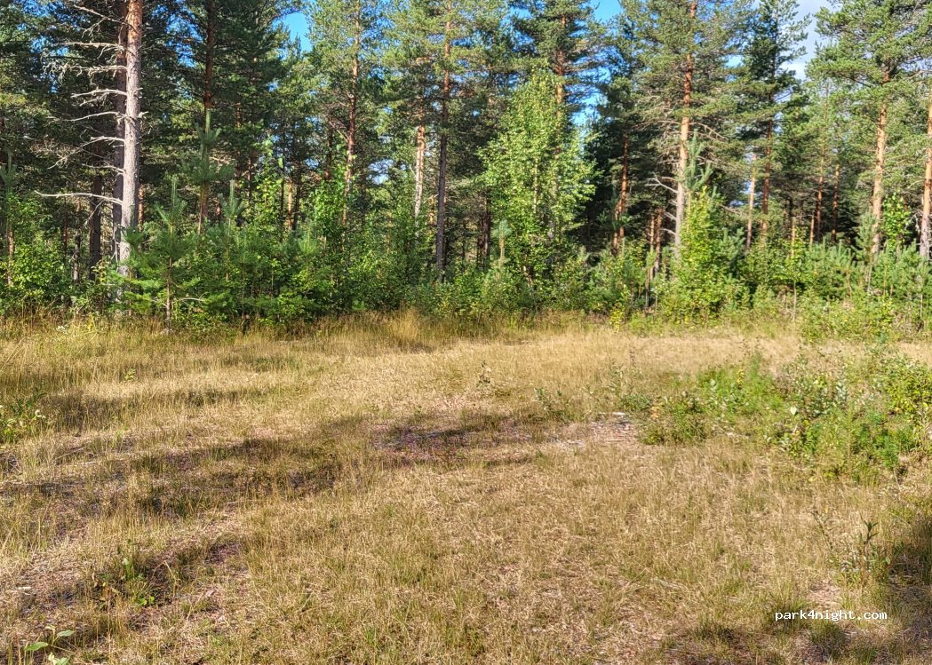 (79691) Älvdalen - 70 — foto