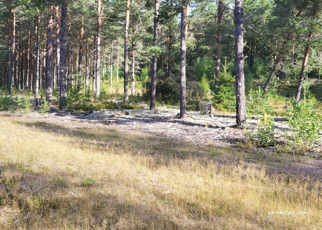 (79691) Älvdalen - 70 — foto 2