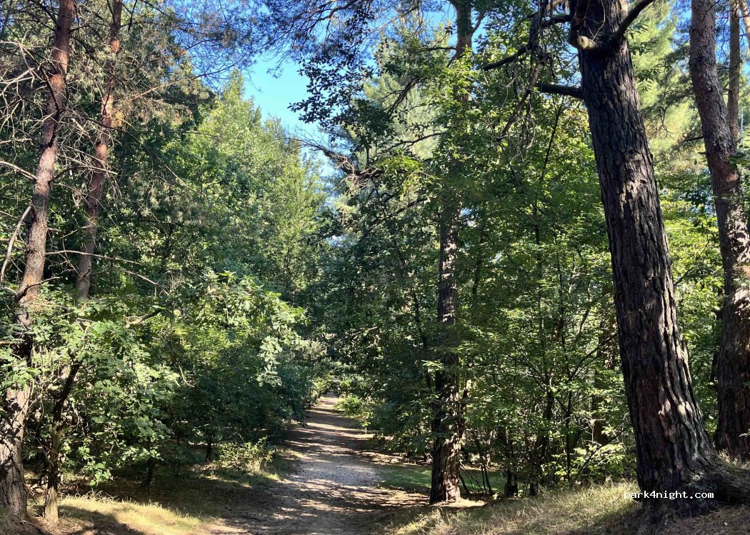 (68519) Viernheim - Rautebuschschneise — foto 2