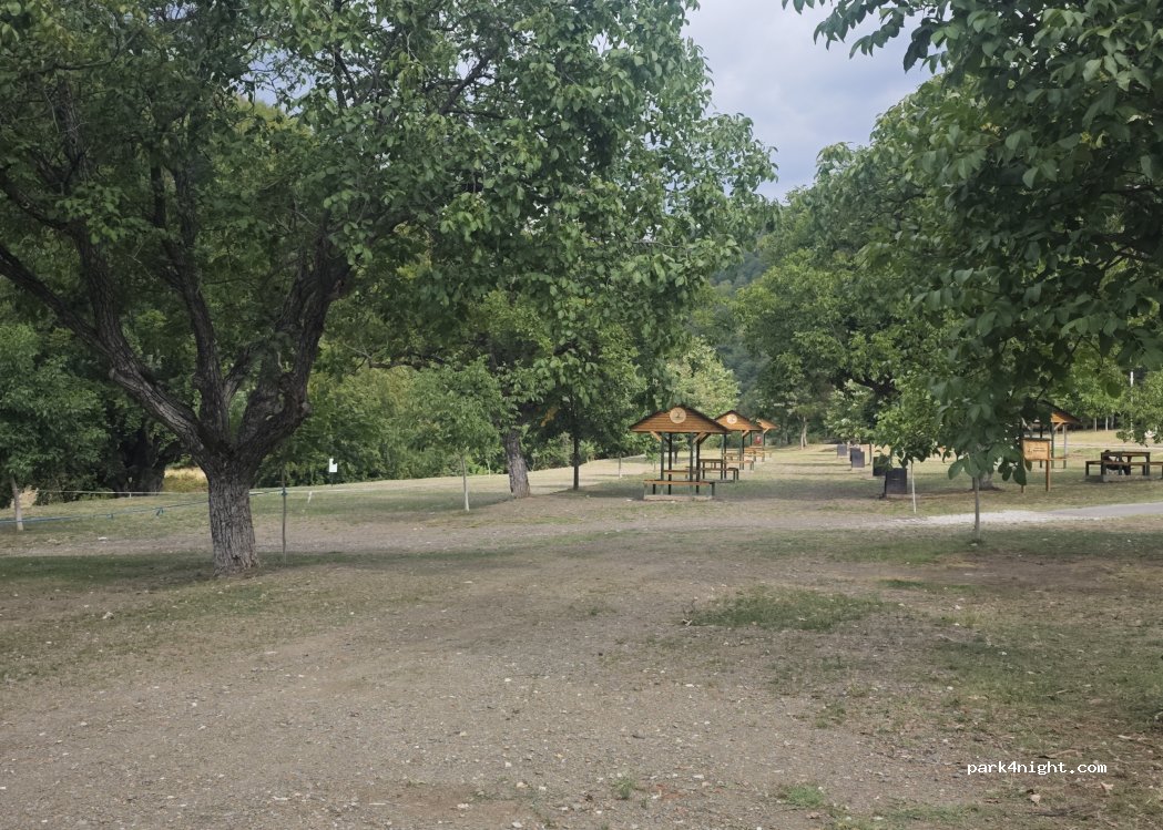 (217396) Suseni - — foto 3