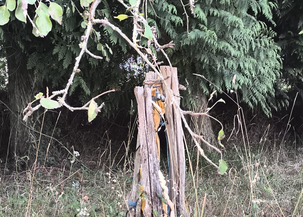 (27372) Vilalba - — foto