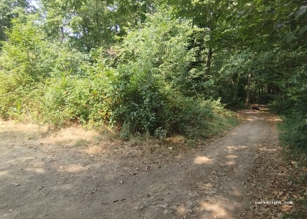 (56520) Guidel - Chemin de la Laïta — foto