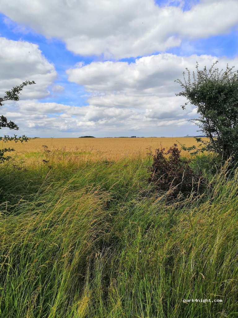 (LN11 0QY) Louth - Bluestone Heath Road — foto 3
