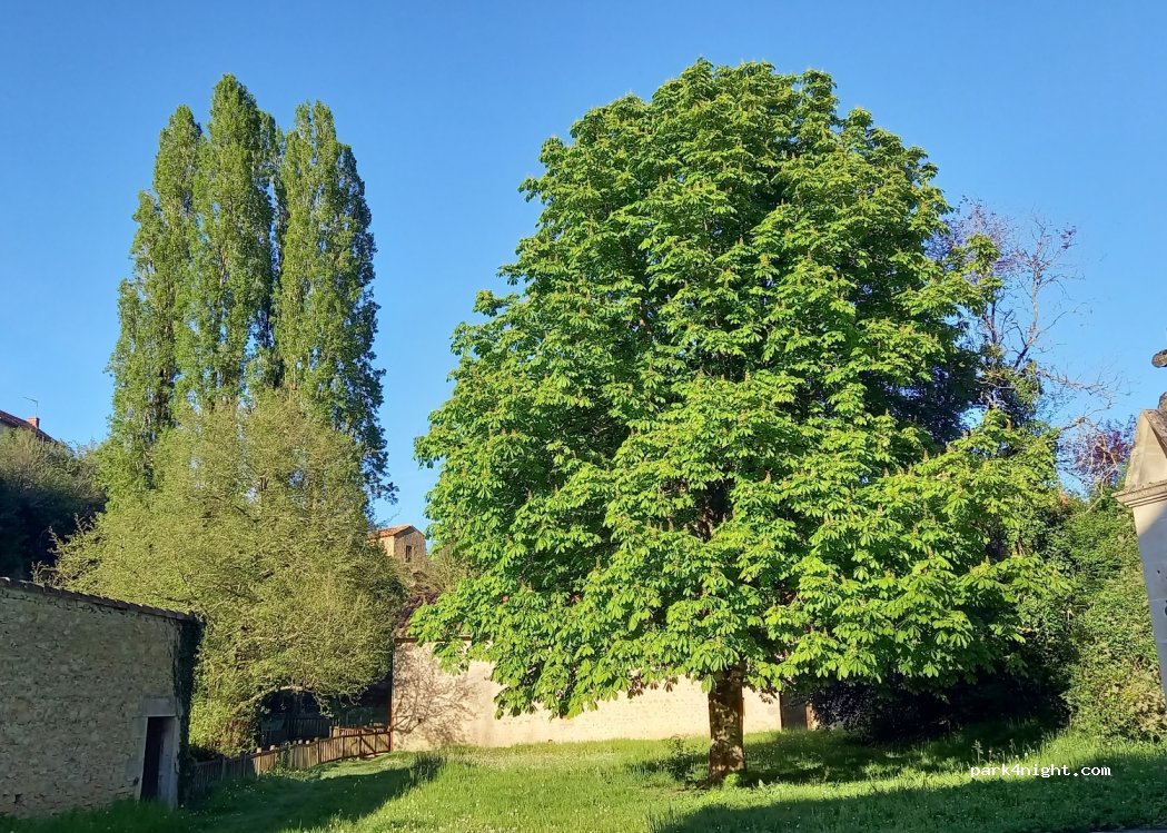 (86320) Lussac-les-Châteaux - 5 Rue du Petit Moulin — foto 4