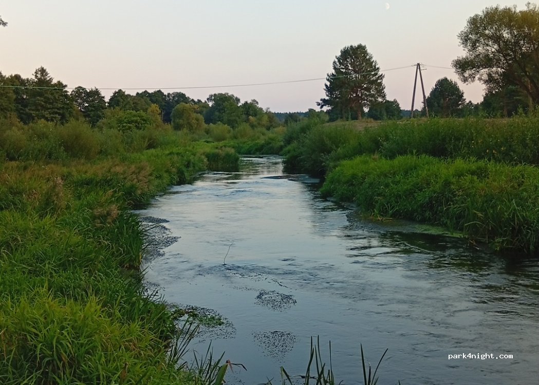 Pole Biwakowe K4-Przystań Kajakowa K4 — foto 3