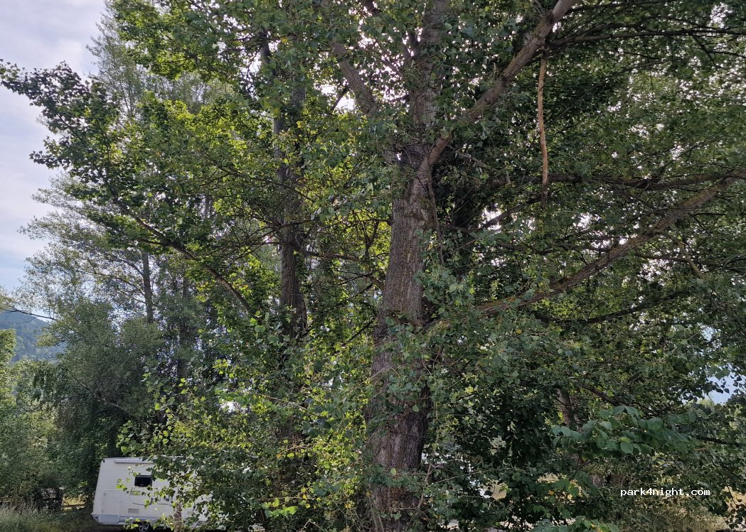(29026) Schluderns - Sluderno - Kiefernhainweg - Via Pineta — foto 4