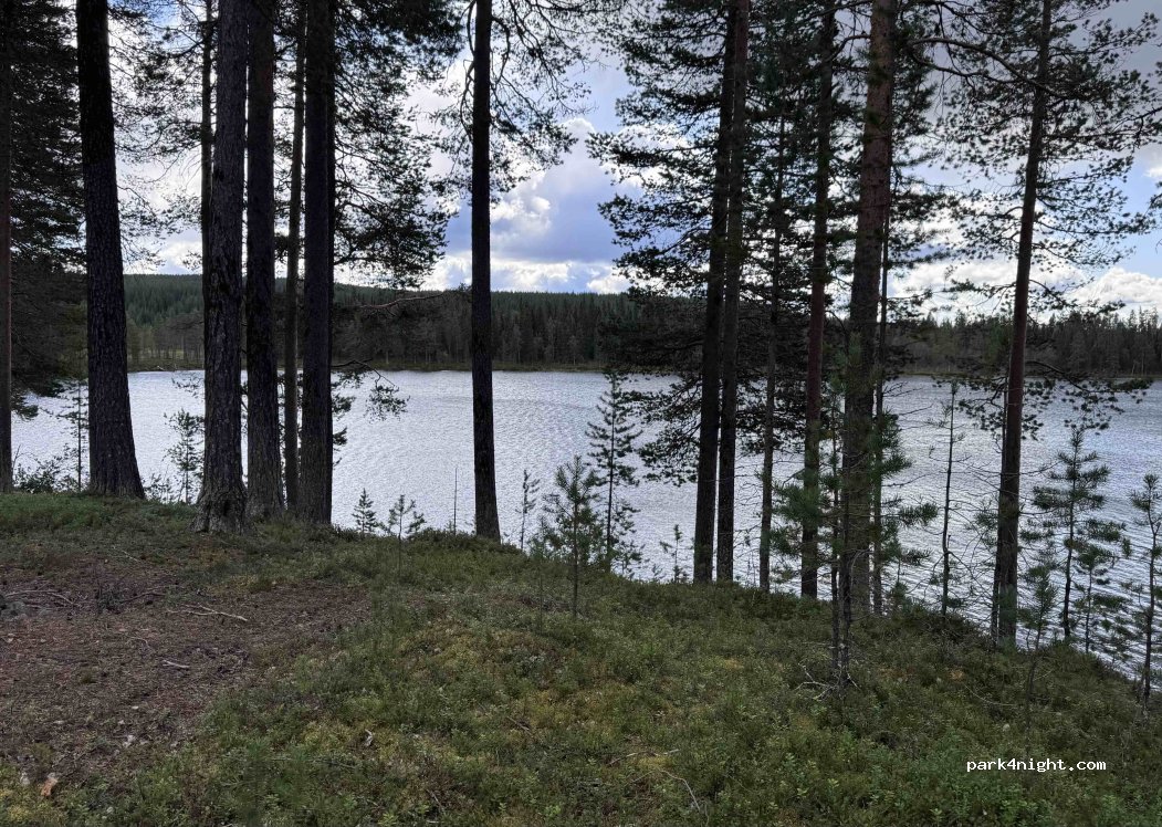 () Uttertrask - Unnamed Road — foto 2