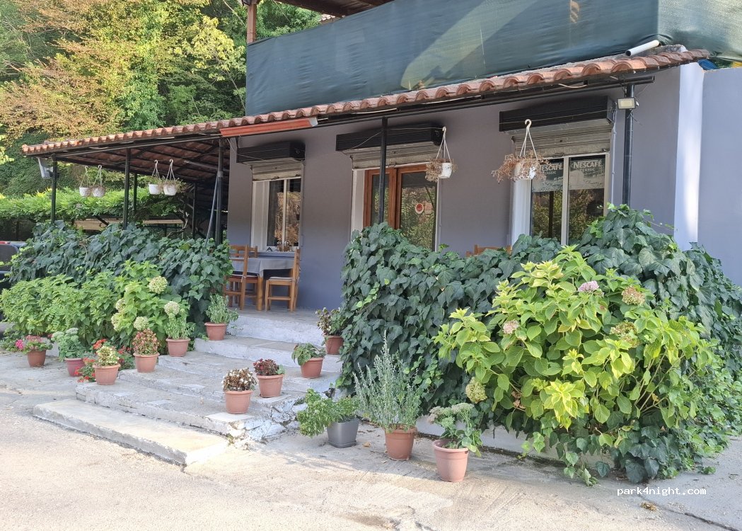 Restaurant Andorini — foto 3