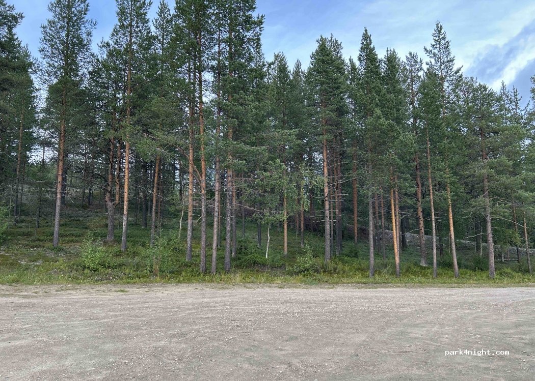 (99401) Enontekiö - Peuratie — foto