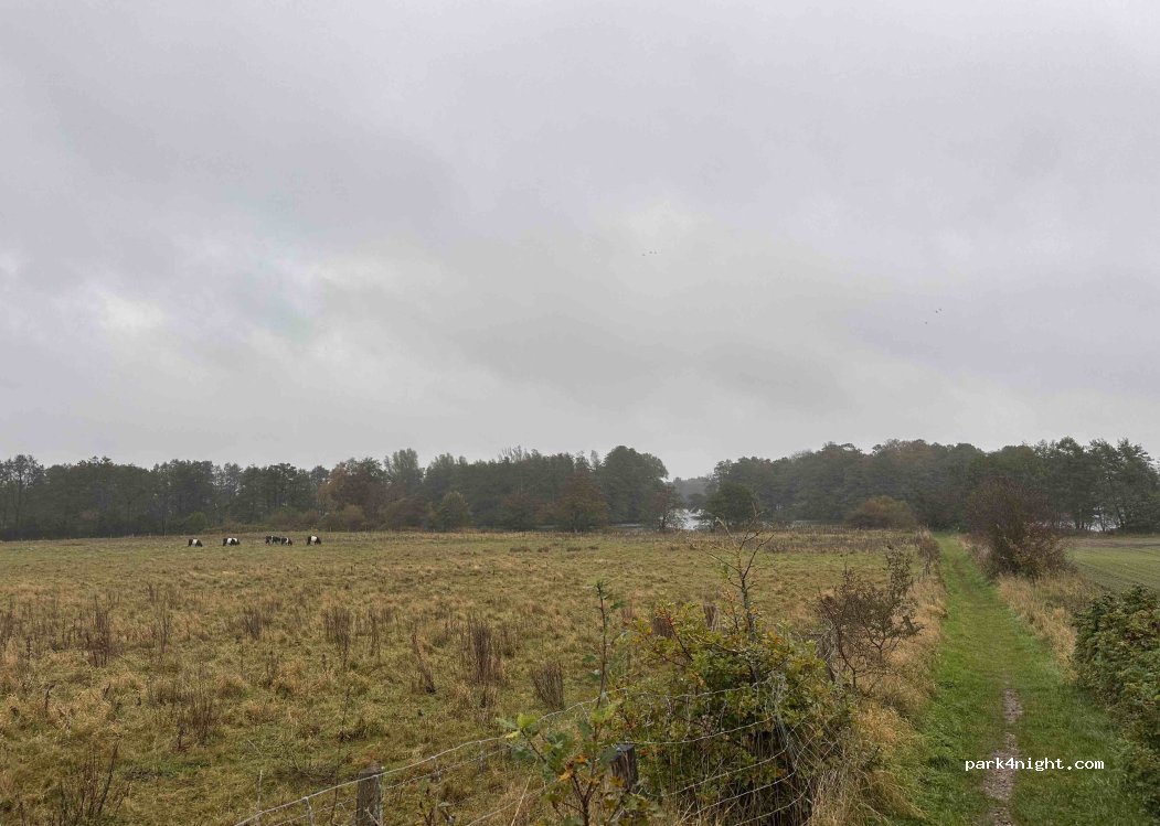 (24988) Oeversee - Sankelmarker Weg — foto