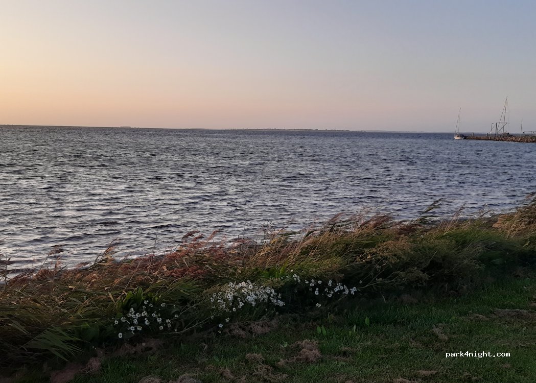 (5932) Humble - Ristingevej — foto 4