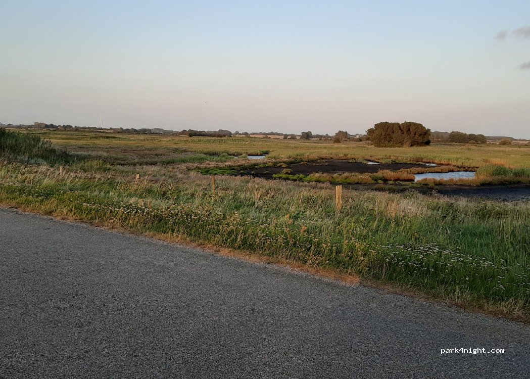 (5932) Humble - Ristingevej — foto 5