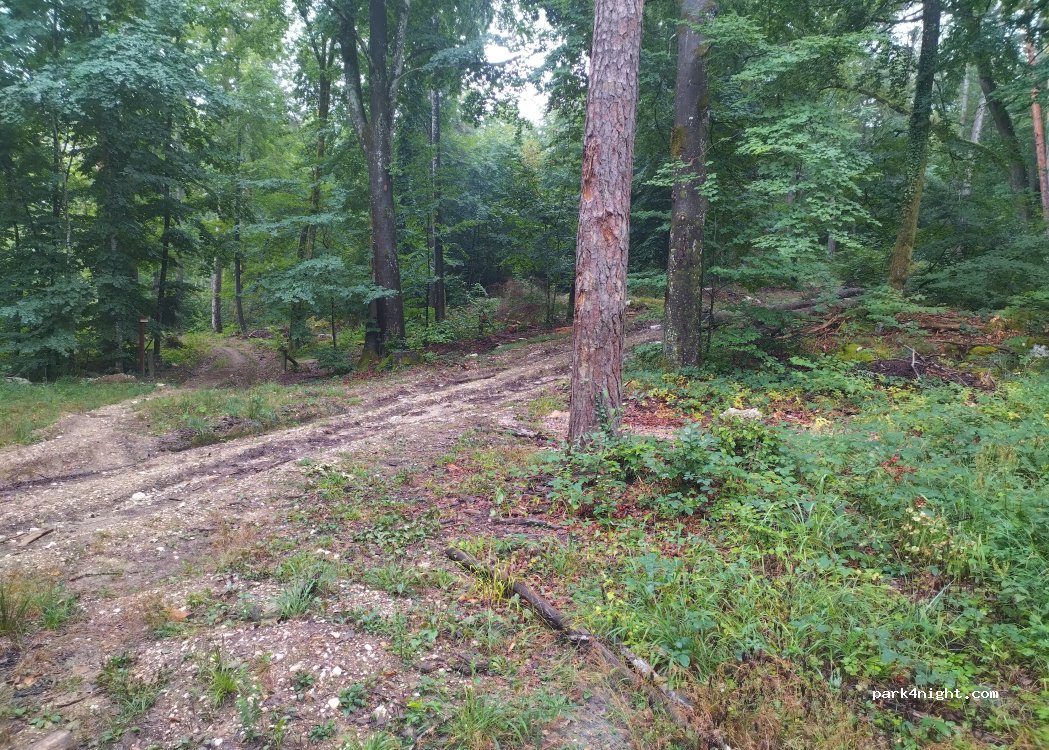 (74000) Annecy - Sentier des Muguets — foto