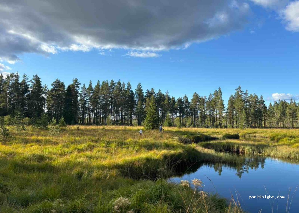 (683 91) Hagfors - — foto 4