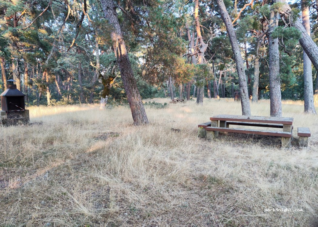 (09692) Canicosa de la Sierra - — foto