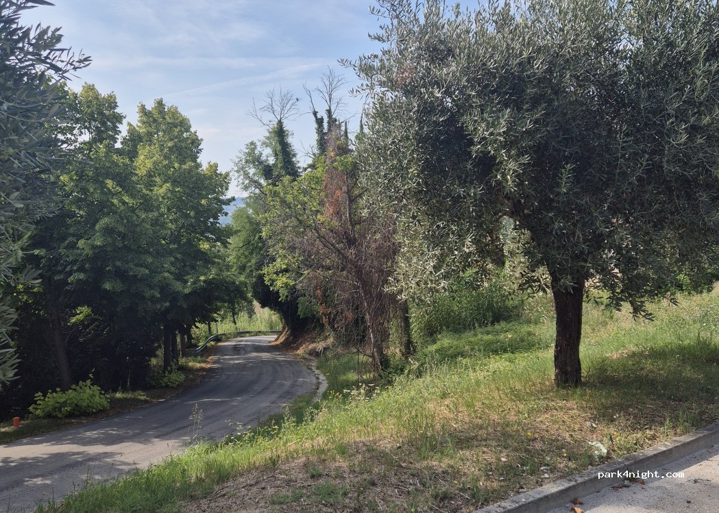 (63834) Mogliano - Via Giovanni XXIII — foto 2