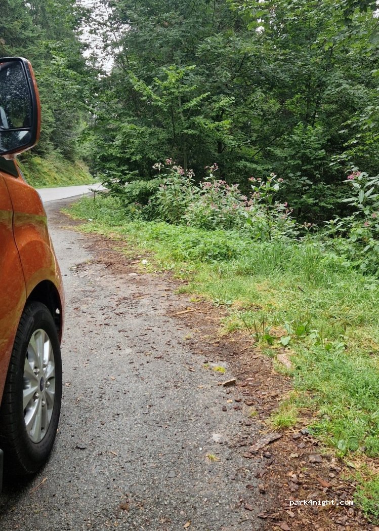 (88400) Gérardmer - Chemin du Tour du Lac — foto