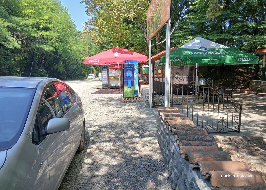 (4200) Bakurtsikhe - Tbilisi-Bakurtsikhe-Lagodekhi — foto 3