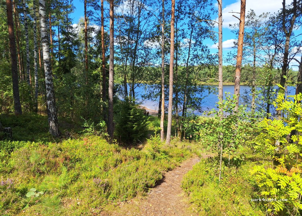 (335 95) Nissafors - F 611 — foto 2