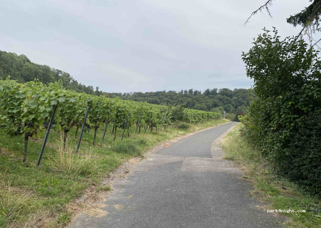 (74074) Heilbronn - Jägerhaussteige — foto
